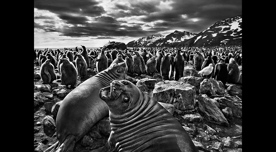 Filmbild: Jordens salt – en resa med Sebastião Salgado