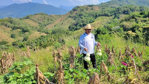 Filmbild: Las voces de la Milpa